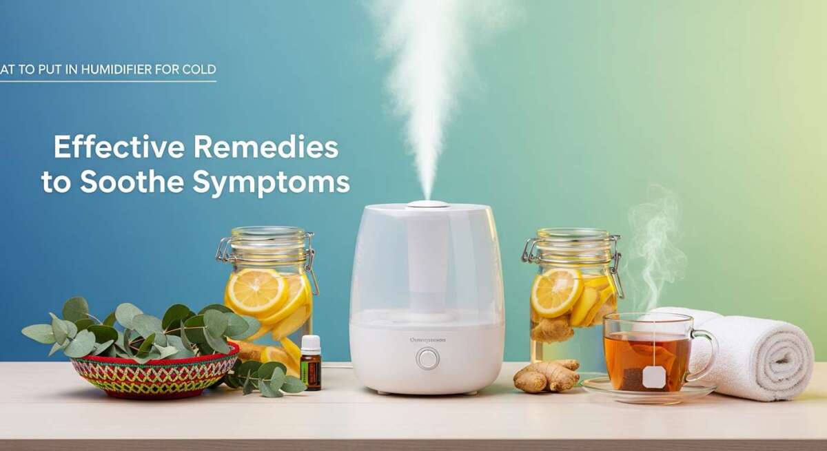 What to Put in Humidifier for Cold