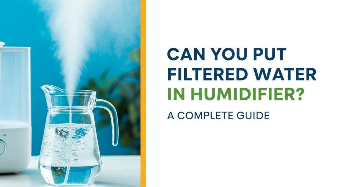 Can You Put Filtered Water in Humidifier