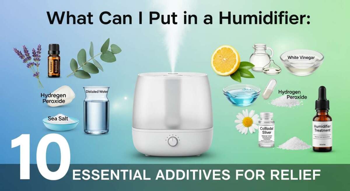 What Can I Put in a Humidifier